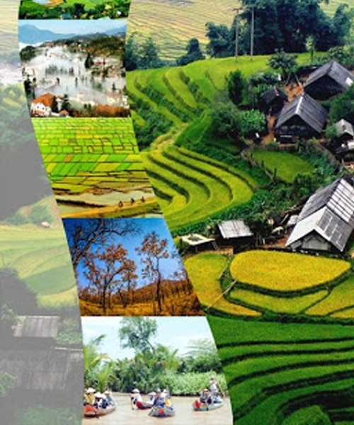 Du khách Việt đi đâu nhiều nhất trong những tháng qua?