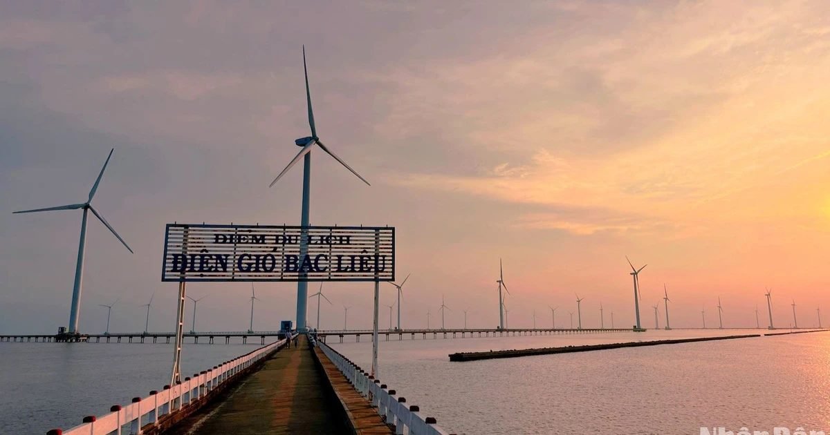 Cánh đồng quạt gió Bạc Liêu
