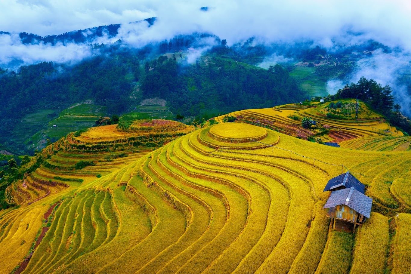 Cảnh biểu tượng của du lịch Hoa Kỳ