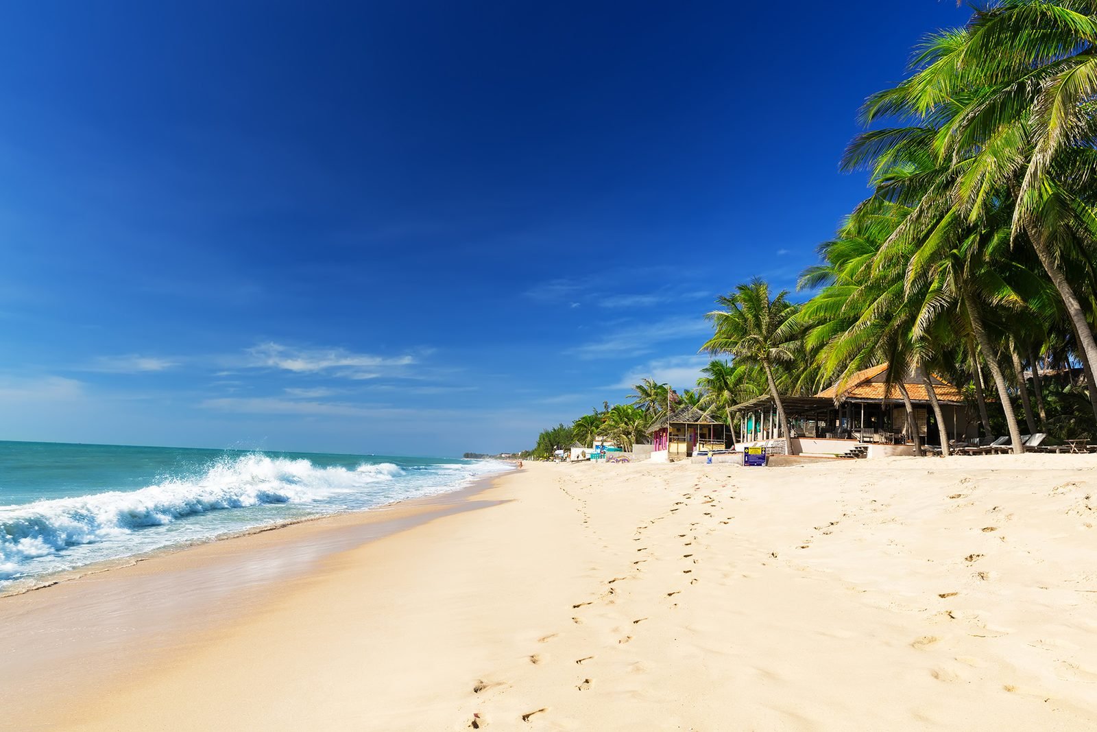 Đồi cát vàng Mũi Né dưới nắng chiều